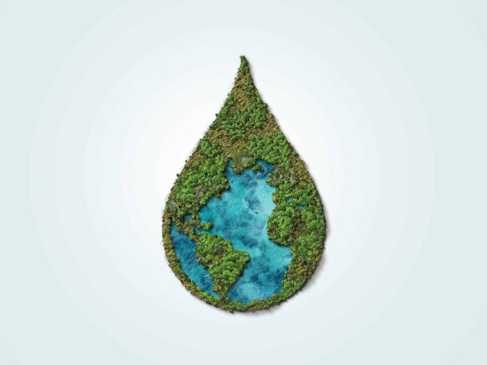 Earth in drop shape 3d green trees.World Water Day green water drop concept. World environment day concept background.